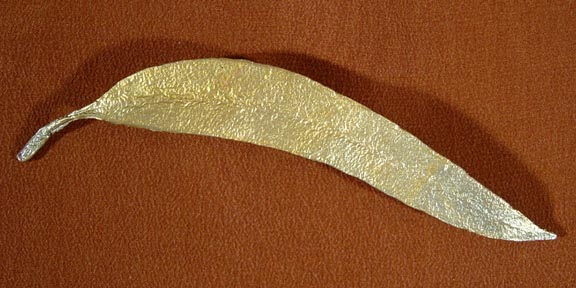 EUCALYPTUS LONG LEAF PIN