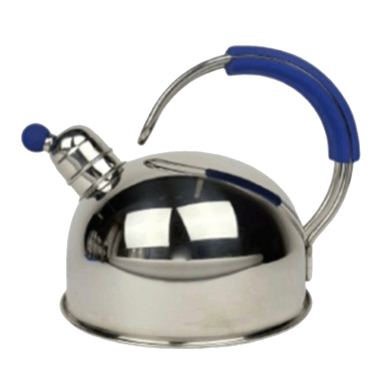 
 BLUE TRIM KETTLE
