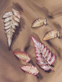 FERN COPPER PIN AND EARRINGS