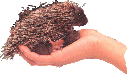 PORCUPINE PUPPETS