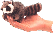 RACCOON FINGER PUPPET