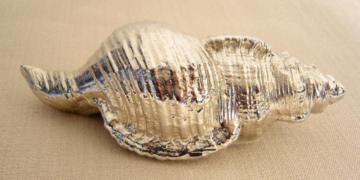 SEA SHELL PAPER WEIGHT