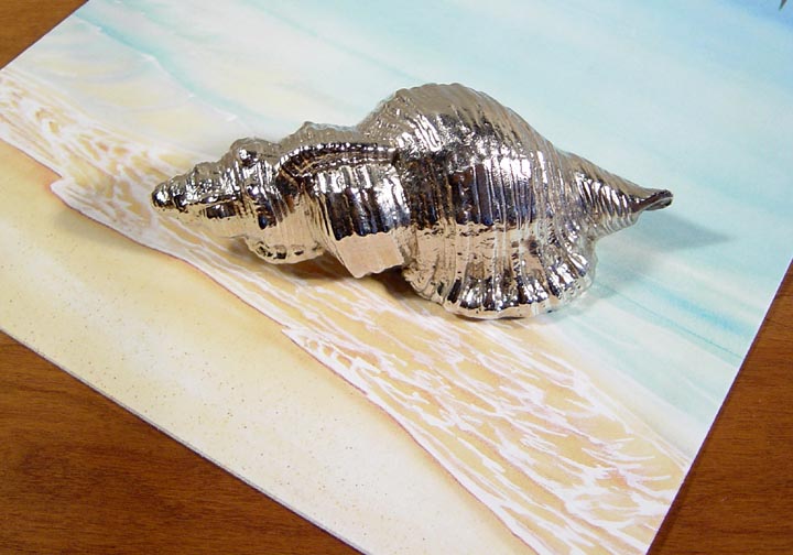 SEA SHELL PAPER WEIGHT